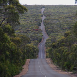 Australie – Kangaroo Island